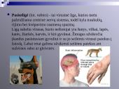 Virusų, bakterijų, protistų ir grybų praktinė reikšmė 7 puslapis