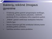 Virusų, bakterijų, protistų ir grybų praktinė reikšmė 10 puslapis