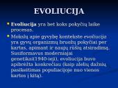 Visatos evoliucija 2 puslapis