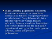 Visatos evoliucija 3 puslapis
