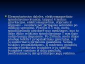 Visatos evoliucija 7 puslapis