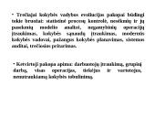 Visuotinės kokybės vadybos komponentai 12 puslapis