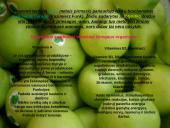 Biologiškai aktyvūs organiniai junginiai vitaminai 4 puslapis