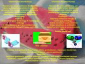 Biologiškai aktyvūs organiniai junginiai vitaminai 5 puslapis