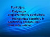 Vitaminai detaliai 12 puslapis