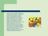 Apie vitaminus 17 puslapis