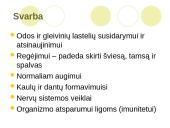 Informacija apie vitaminą A 6 puslapis