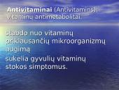 Vitaminas K 15 puslapis
