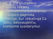 Vitaminas K 20 puslapis