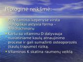 Vitaminas K 4 puslapis