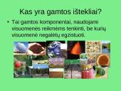 Žemės gamtinių išteklių struktūra 2 puslapis