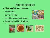 Žemės gamtinių išteklių struktūra 16 puslapis