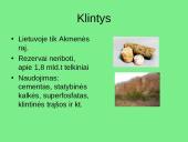 Žemės gamtinių išteklių struktūra 20 puslapis