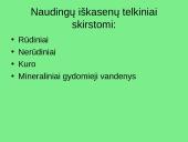 Žemės gamtinių išteklių struktūra 6 puslapis