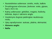 Žemės gamtinių išteklių struktūra 7 puslapis