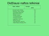 Žemės gamtinių išteklių struktūra 8 puslapis