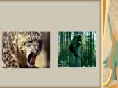 Žinduoliai ir jų skirstymas 4 puslapis