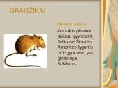 Žinduoliai ir jų skirstymas 5 puslapis