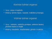 Žmogaus dauginimasis 2 puslapis