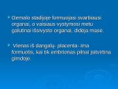 Žmogaus dauginimasis 11 puslapis