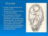 Žmogaus dauginimasis 13 puslapis