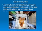 Žmogaus dauginimasis 15 puslapis