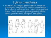 Žmogaus dauginimasis 3 puslapis