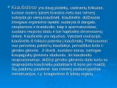 Žmogaus dauginimasis 5 puslapis