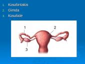 Žmogaus dauginimasis 6 puslapis