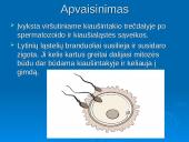 Žmogaus dauginimasis 7 puslapis