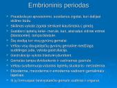 Žmogaus dauginimasis 8 puslapis