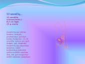 Žmogaus gimimas 11 puslapis