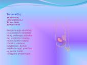 Žmogaus gimimas 12 puslapis