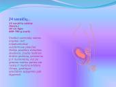 Žmogaus gimimas 14 puslapis