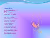 Žmogaus gimimas 15 puslapis