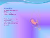 Žmogaus gimimas 16 puslapis