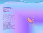 Žmogaus gimimas 17 puslapis