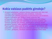 Žmogaus gimimas 18 puslapis