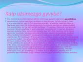 Žmogaus gimimas 3 puslapis