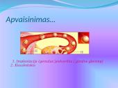 Žmogaus gimimas 4 puslapis