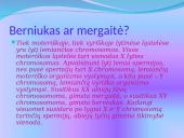 Žmogaus gimimas 6 puslapis