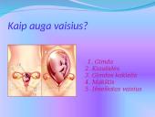 Žmogaus gimimas 8 puslapis