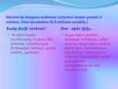 Žmogaus gimimas 9 puslapis