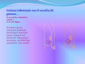 Žmogaus gimimas 10 puslapis