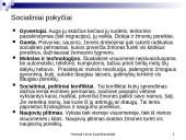 Žmogaus poreikiai ir pasaulio tvarka 13 puslapis