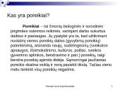 Žmogaus poreikiai ir pasaulio tvarka 5 puslapis