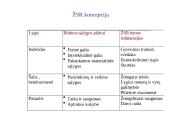 Žmogaus socialinė raida - visuomenės pažangos koncepcija 13 puslapis