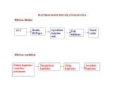 Žmogaus socialinė raida - visuomenės pažangos koncepcija 14 puslapis