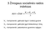 Žmogaus socialinė raida - visuomenės pažangos koncepcija 16 puslapis