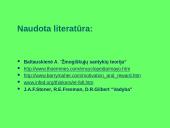 Žmogiškųjų santykių mokykla 18 puslapis